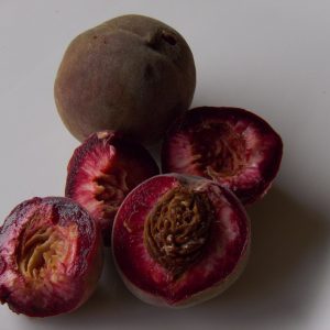 Купить саженцы персика в Краснодаре